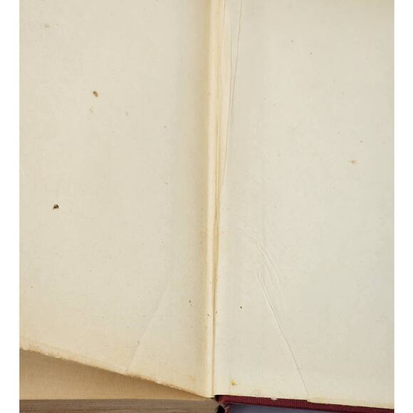 Faith Desmond Last Stand By Elizabeth Jordan, Vintage Book Novel 1924 - Picture 4 of 12